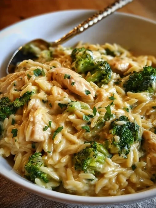 cheesy chicken broccoli orzo - cheesy chicken broccoli orzo 2026 01 14 034137 508x675 1